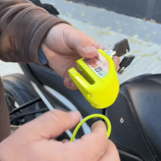 Lockt DiscGuard